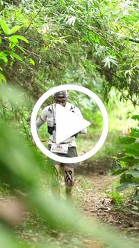 BIB:  <button type="button" onclick="openModal(26827210)" class="btn btn-primary btn-sm float-right" data-toggle="modal" data-target=".modal-high-quality">
                <i class="fa fa-download"></i> Download
                </button>